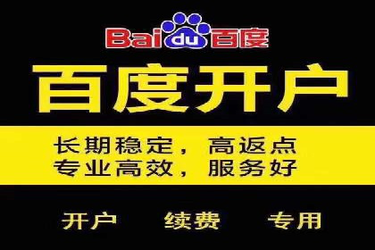 竞价推广代运营：成功案例解析